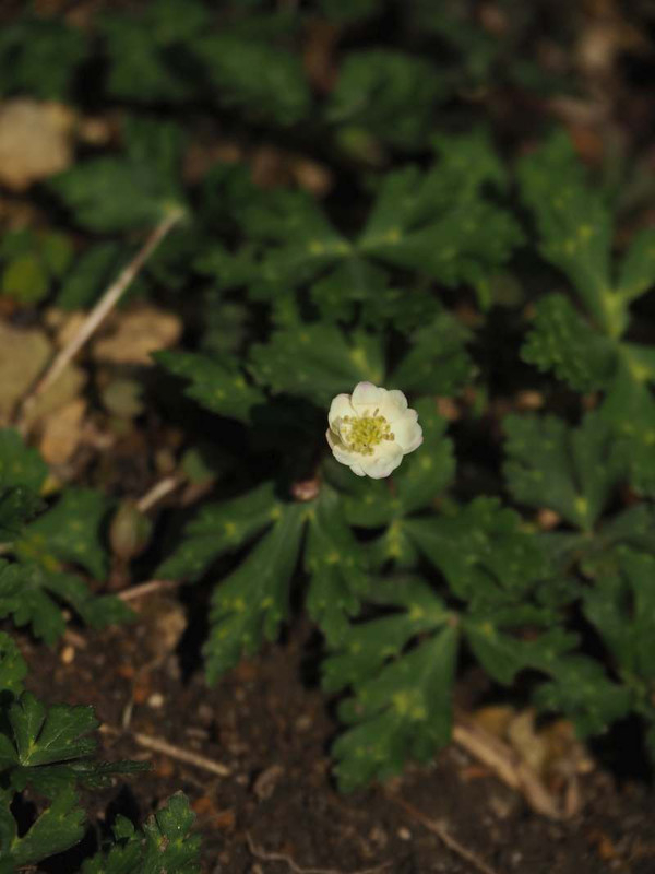 P3262859