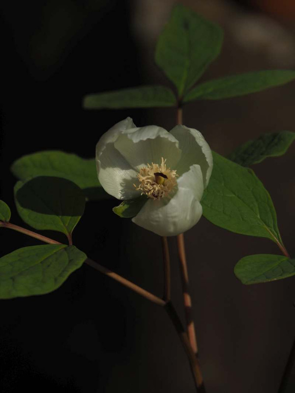 P3262872