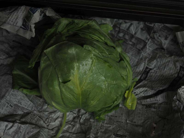 P3272879