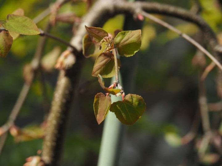 P3272896h_2