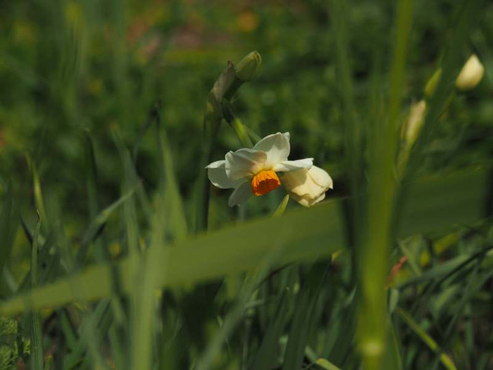 P3272903