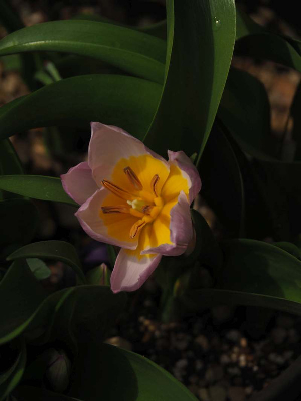 P3282924