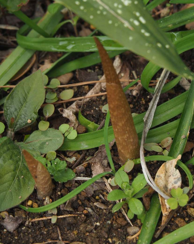 P3282927
