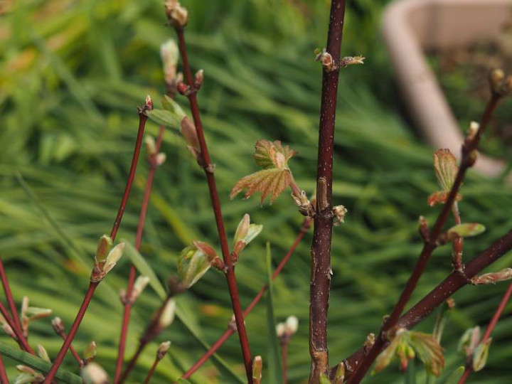 P3282953