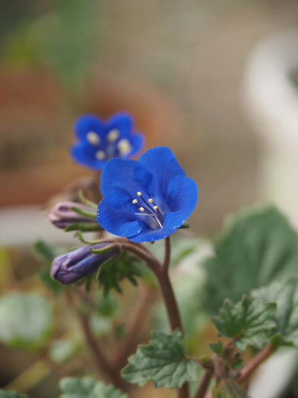 P3282954
