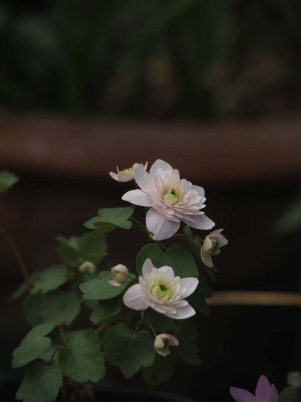P3282955b
