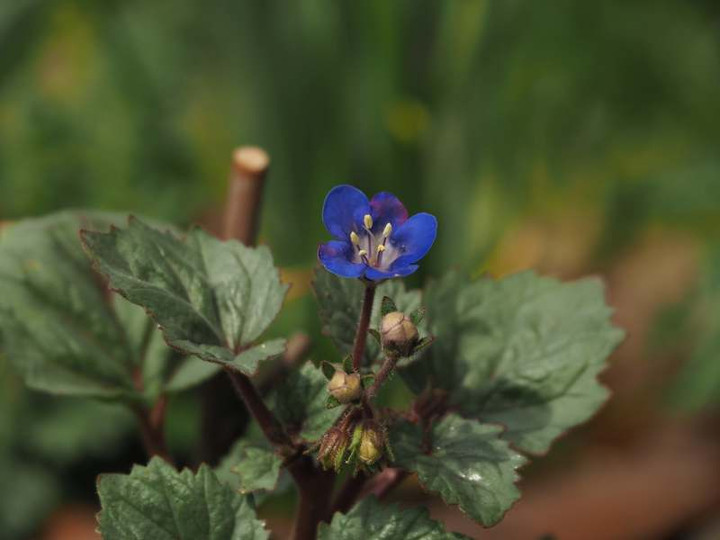 P3293002