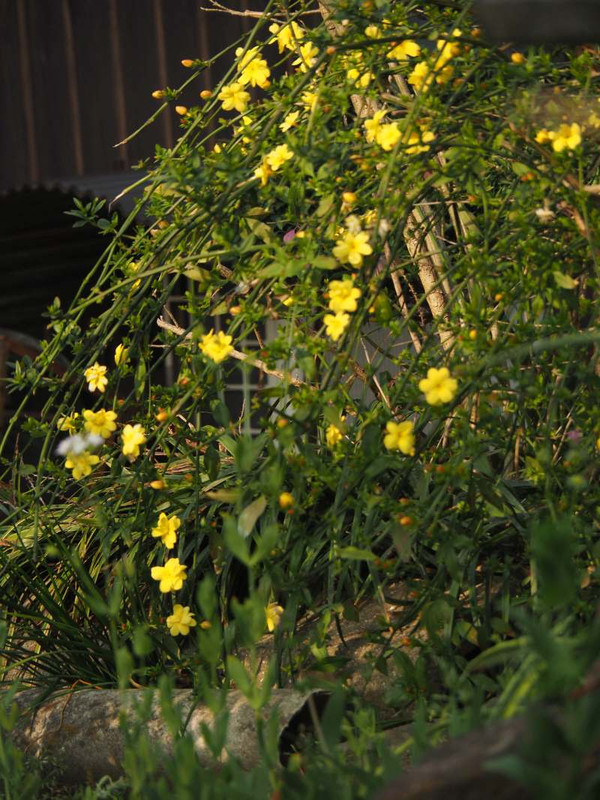 P3293007