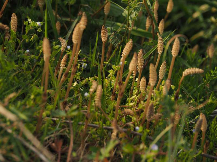 P3293009