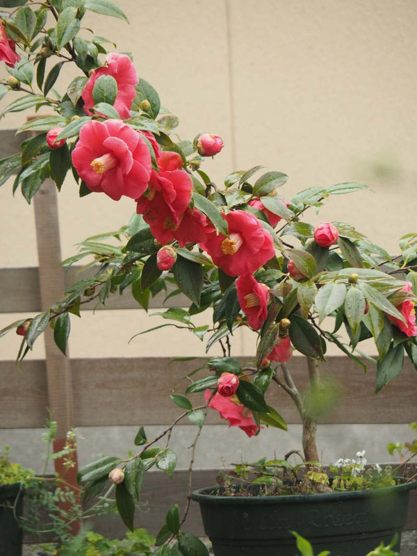 P3303025