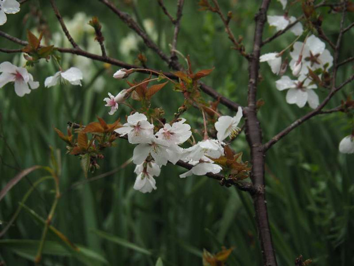 P3303033