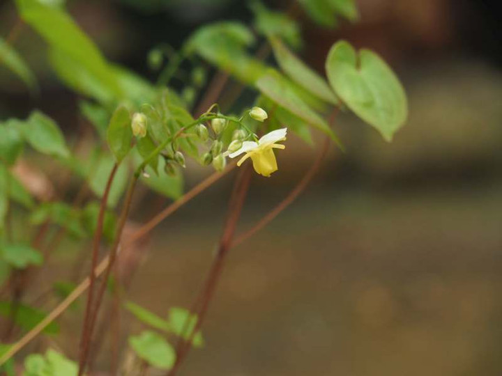P3303044
