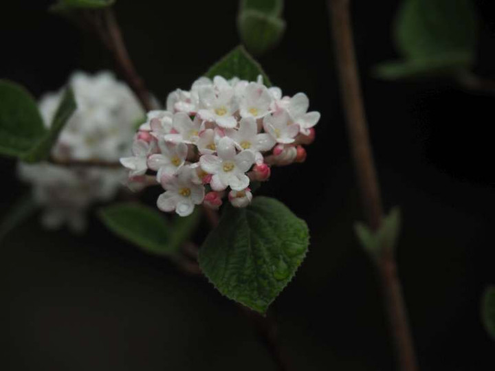 P3303046