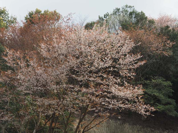 P4013351