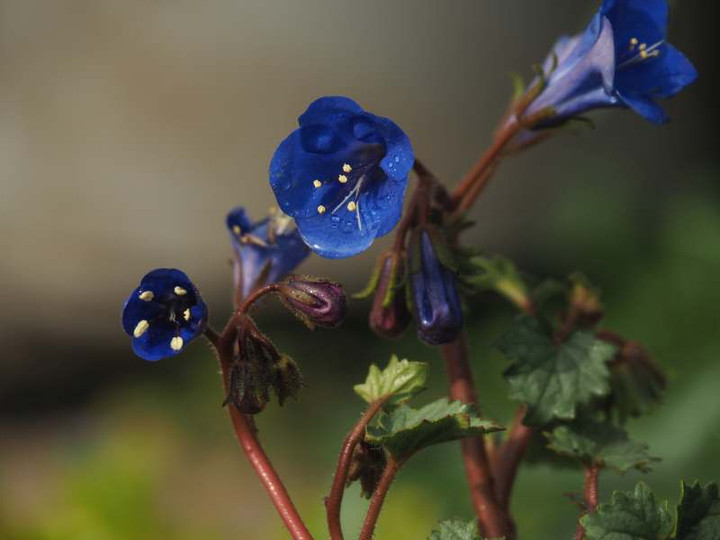 P4023374