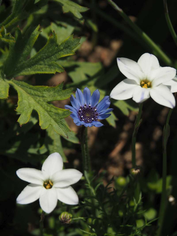 P4033395