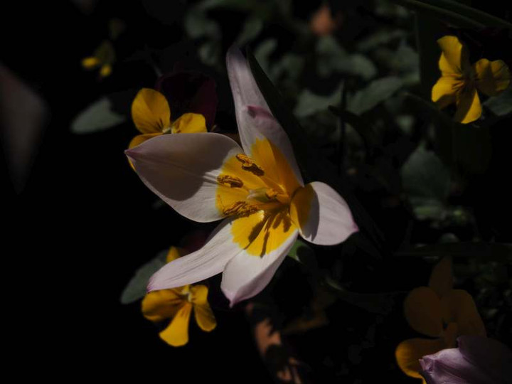 P4033399