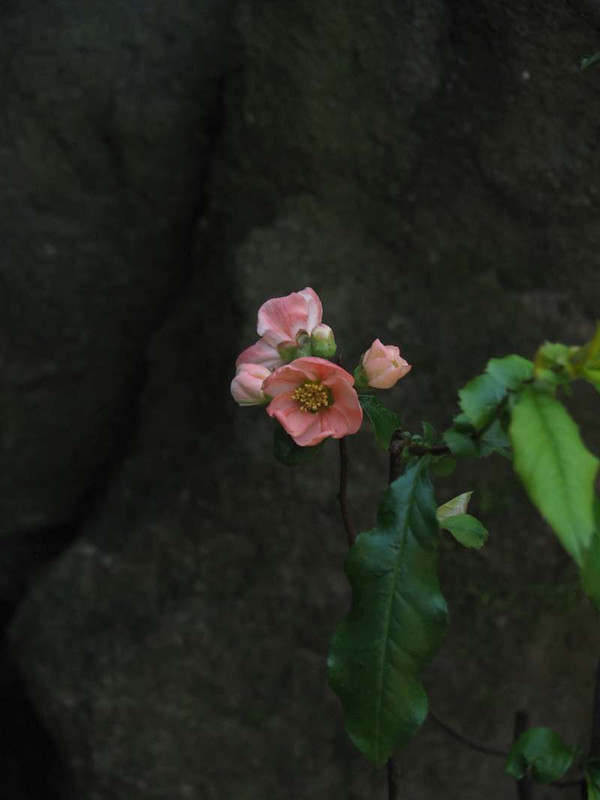 P4033419