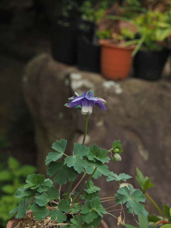 P4144792