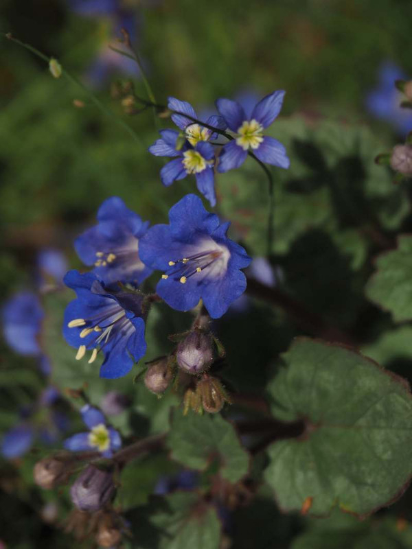 P4164860