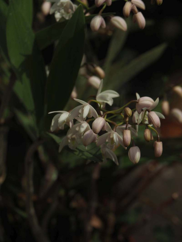 P4174940