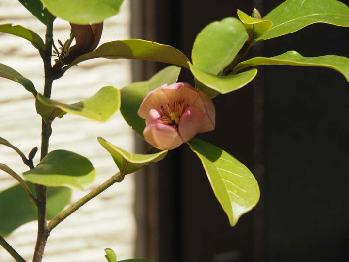 P4184950