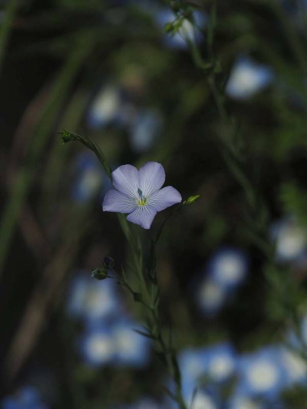 P4184963
