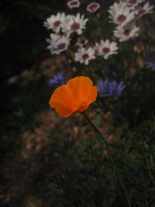 P4211431