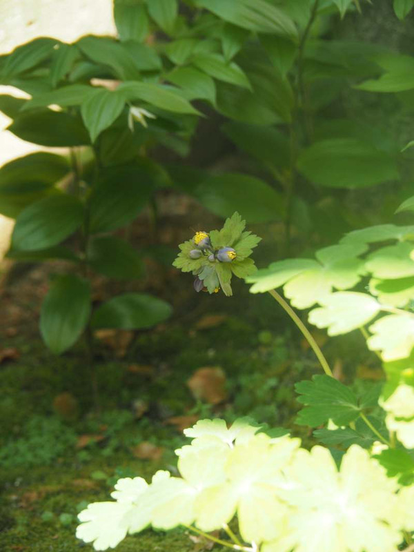 P4211456