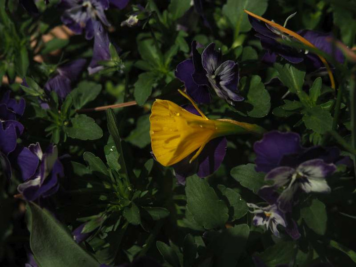 P4225035