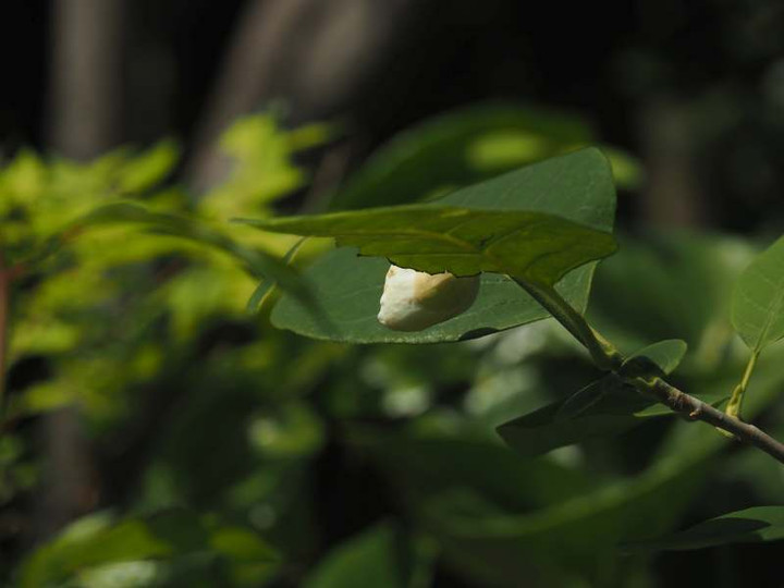 P5025701