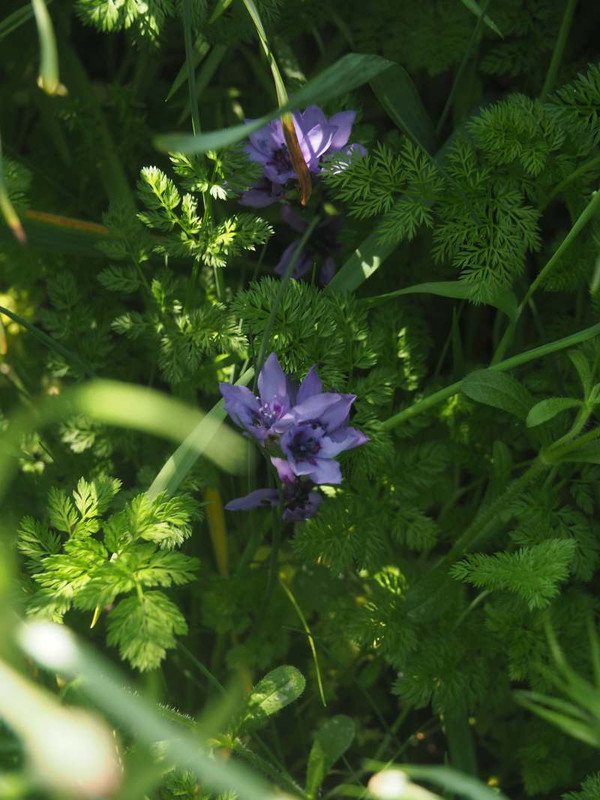 P5025720