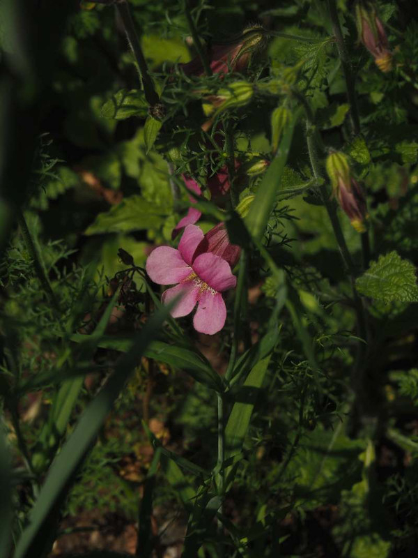 P5025722
