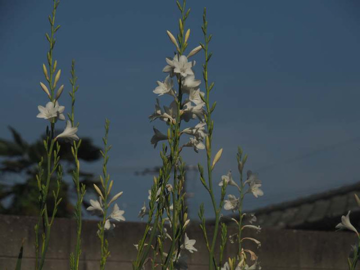 P5035729
