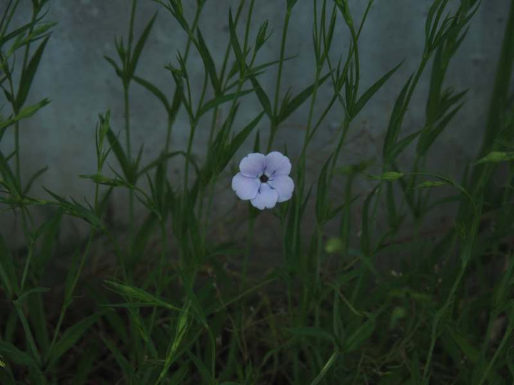 P5035735