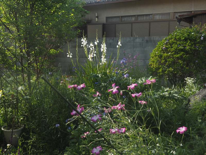 P5035741