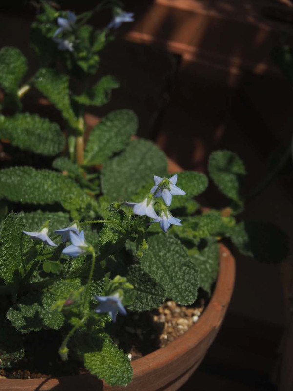 P5045755