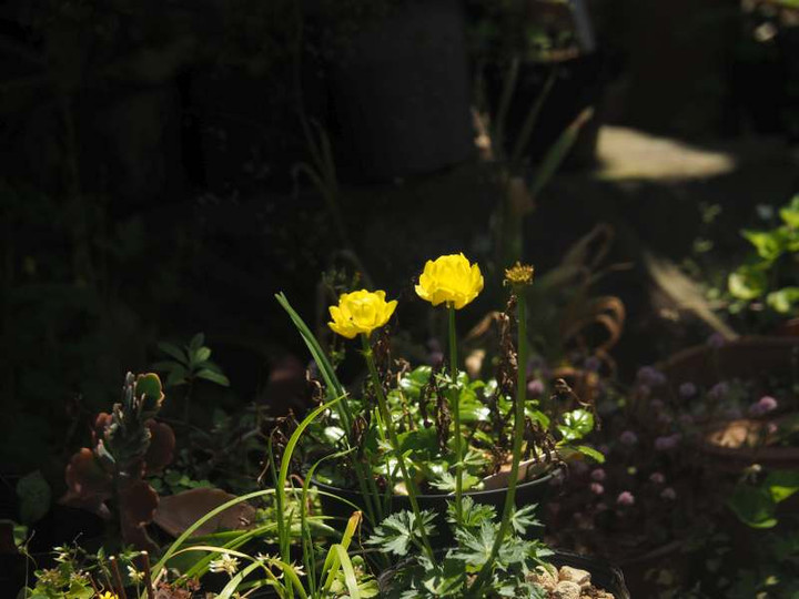 P5045756