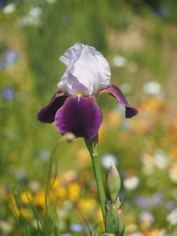 P5045761