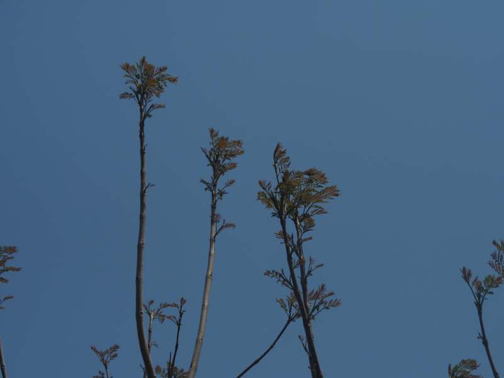 P5045763