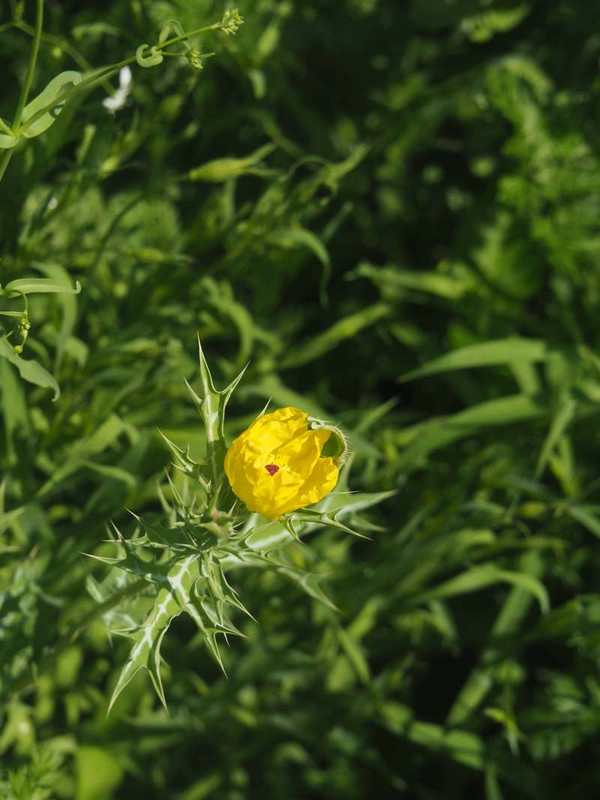 P5045765