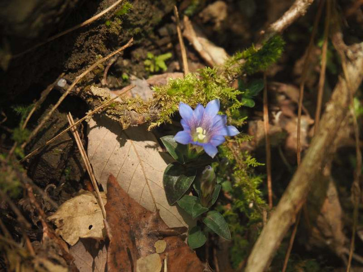 P5045795