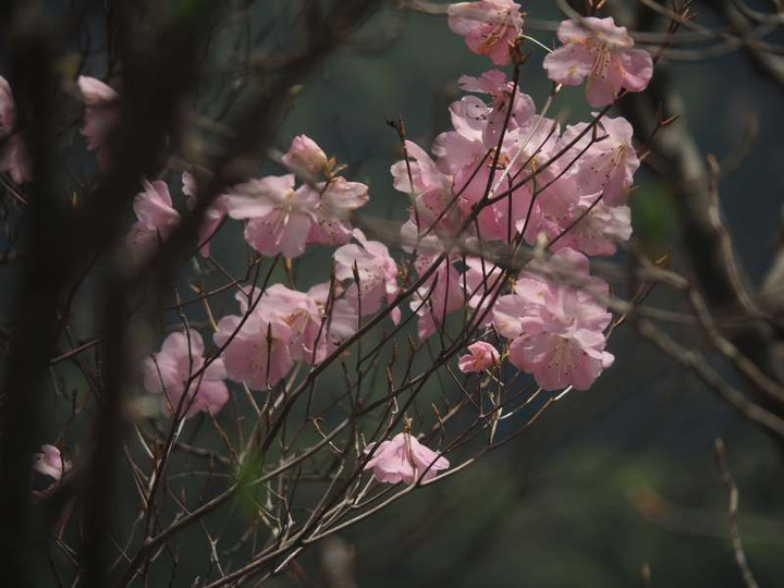 P5056006