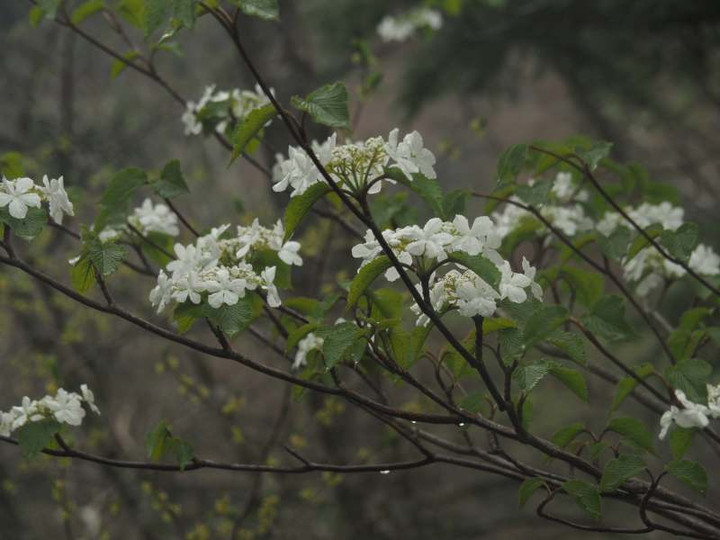 P5056092