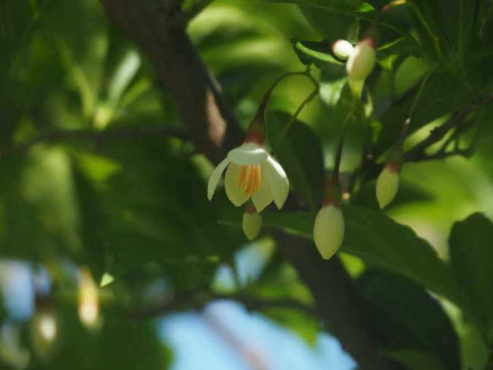 P5076171