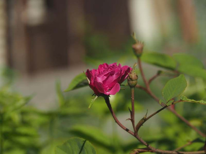 P5076176