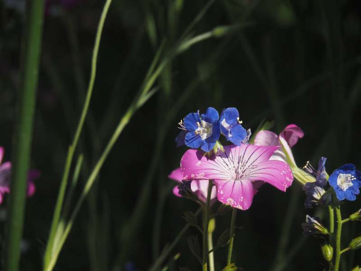 P5076177