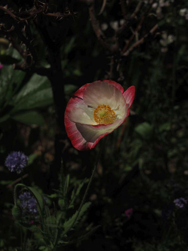 P5076187