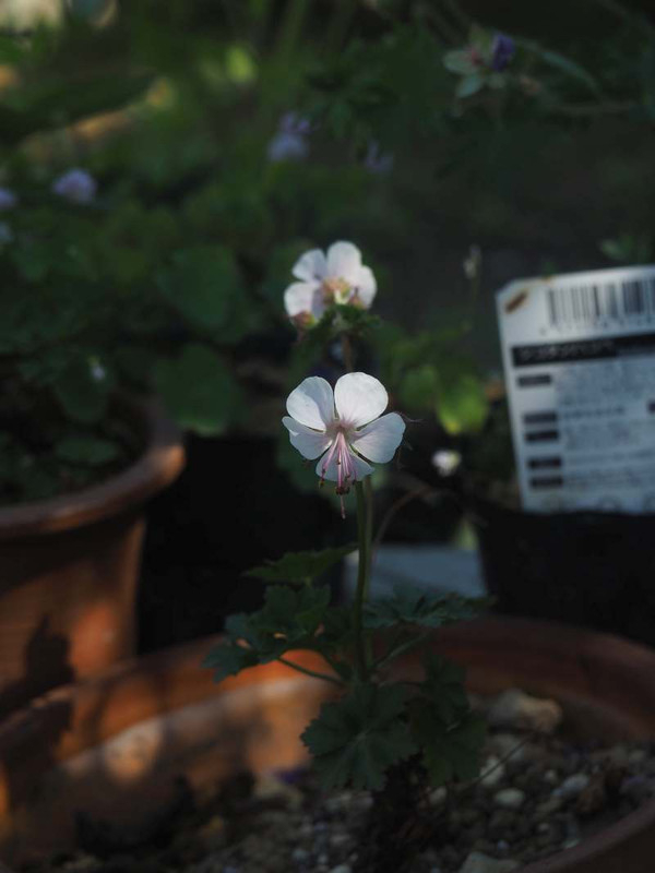 P5076201