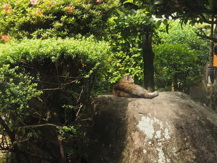 P5266993